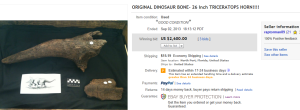 1. Top Fossil Sold for $2,600. on eBay