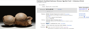 4. Top Fossil Sold for $1,625. on eBay