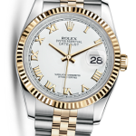 The Oyster Perpetual Rolex, Elegance and Prestige