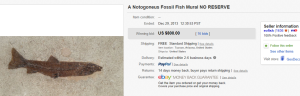 4. Top Dinosaur & Fossil Sold for $800. on eBay