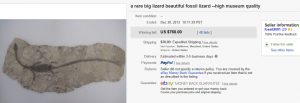 5. Top Dinosaur & Fossil Sold for $760. on eBay
