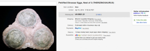 3. Top Dinosaur & Fossil Sold for $921.21. on eBay