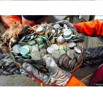 $50 Million ShipWreck Treasure Found
