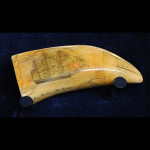 Scrimshaw Whale Tooth Found $150,000